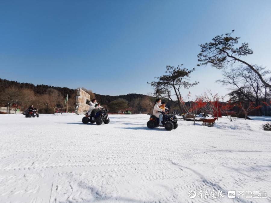 跑马岭|虎啸春来丨春节期间，来跑马岭感受沉浸式冰雪乐园