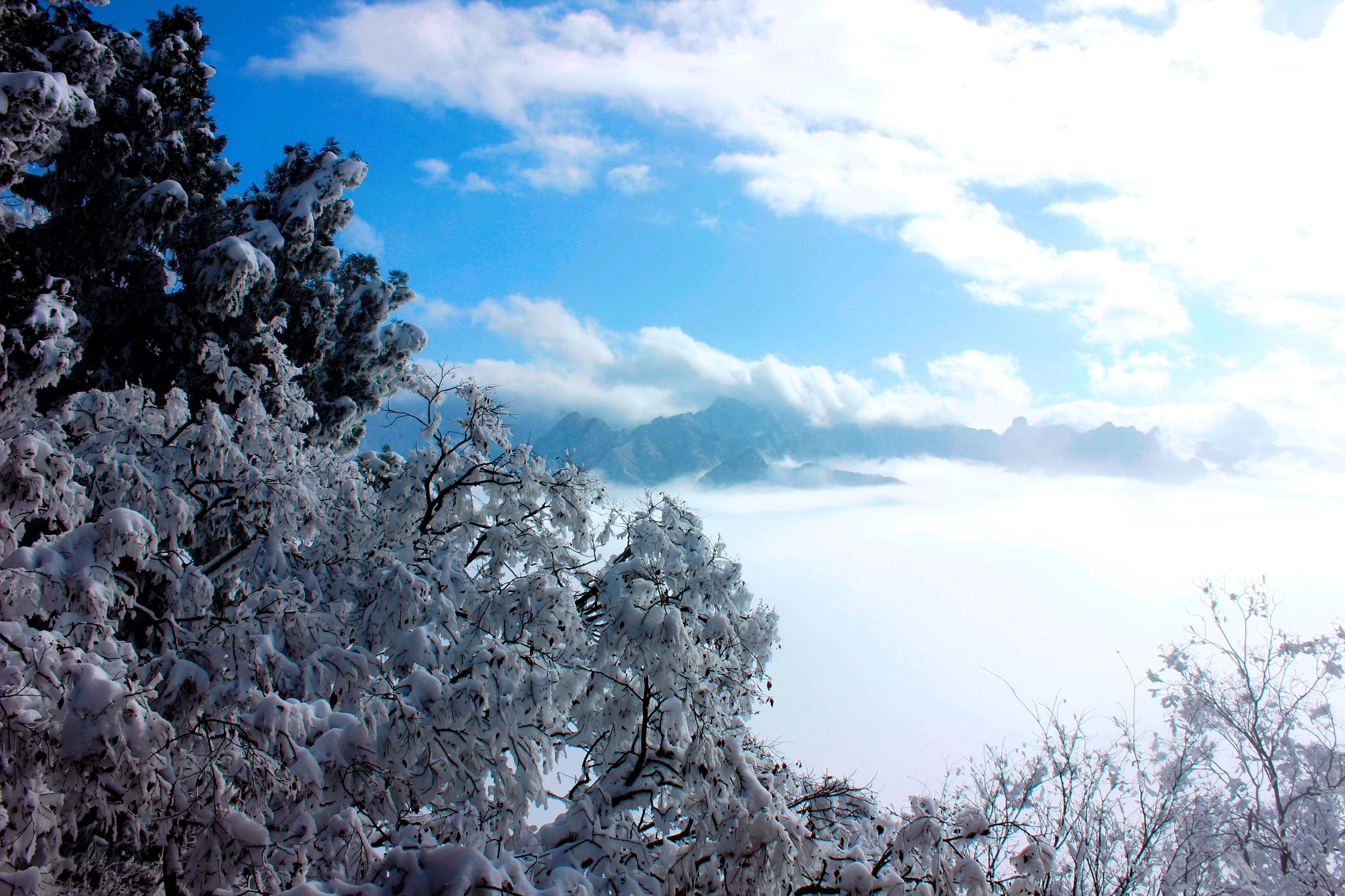 征集|【年末福利征集】雪后南五台幸遇云海