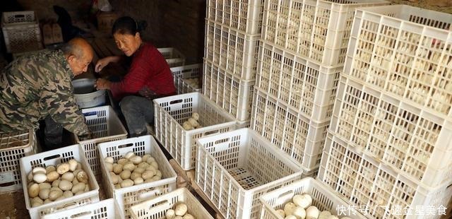 鸭蛋和鸭蛋通常被许多人吃,为什么很少吃鹅蛋答案很简单
