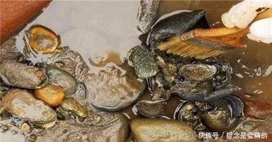 大西国|有关张献忠的宝藏之谜, 有据可查的文字史料有哪些?