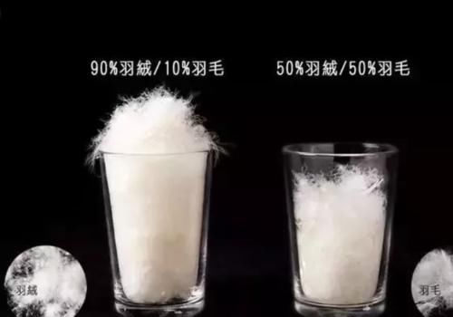 加拿大鹅又卖断货 都2021年了你怎么还在跟风