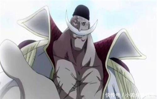 罗杰|海贼王:光月原是白胡子的2号队长?他转投罗杰后,艾斯才上位!