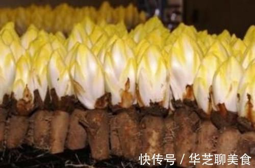 青钱柳茶|糖尿病别光吃药打针，常吃这几样食物，血糖稳降比药都强！