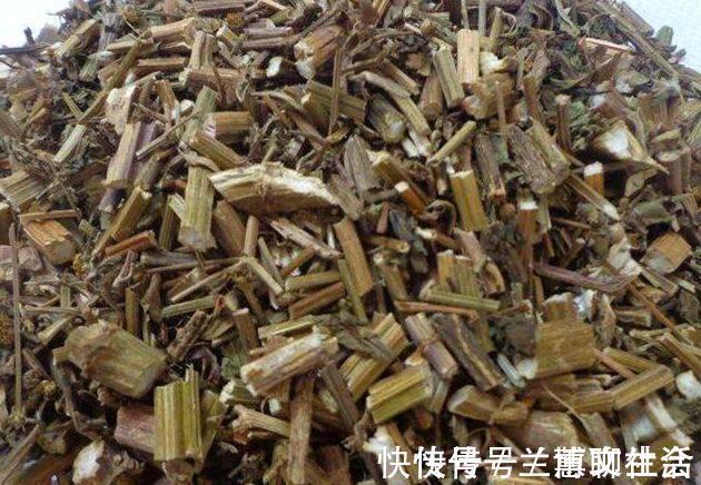 农民|小时候被它粘到哭，现在村里却有农民靠采集野生鬼针草养家糊口