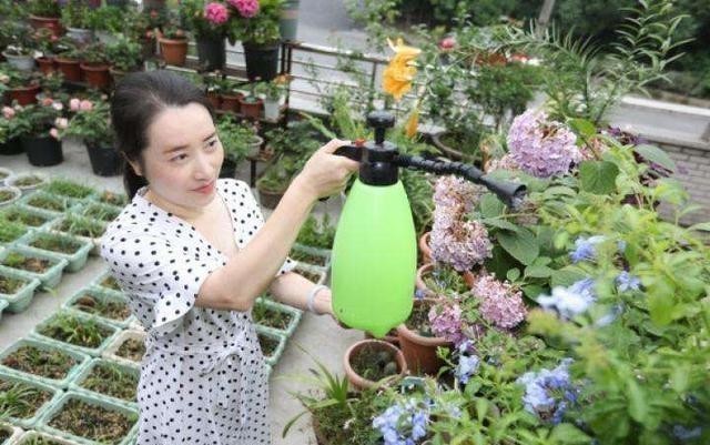 老人常说:男人养花不是“娘”就是懒,你认同这句话吗?