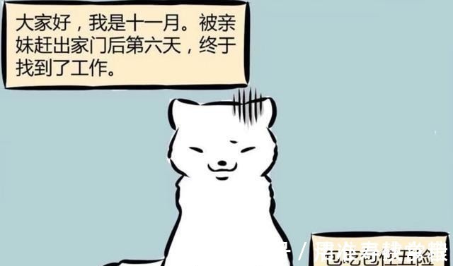 动物|非人哉原来动物园的动物也是在工作,十一月的工作环境让狐羡慕