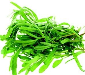 水芹羊肉饺|这几种猪都不理会的东西,城里人却当做“宝”,营养价值极高!