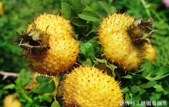 女人爱美学会吃，推荐以下食物，淡化色斑，排毒养颜，美容抗衰老