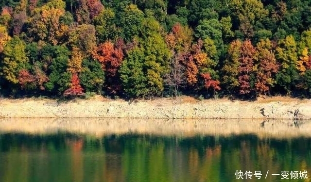 茅镬|有400年历史的古村,藏在四明山深处,浙东第一古树村！