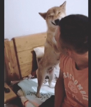 |搞笑GIF:女汉子真是不简单啊,还以为妹子要坐上去呢