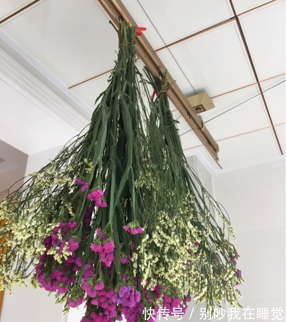 养花，花期短？教你一个小技巧，延长花期一整年，艳丽开不败