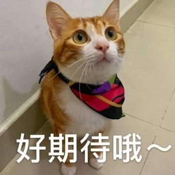 不骗你,比起“砸钱”变白,这3点更值得黄黑皮女人坚持