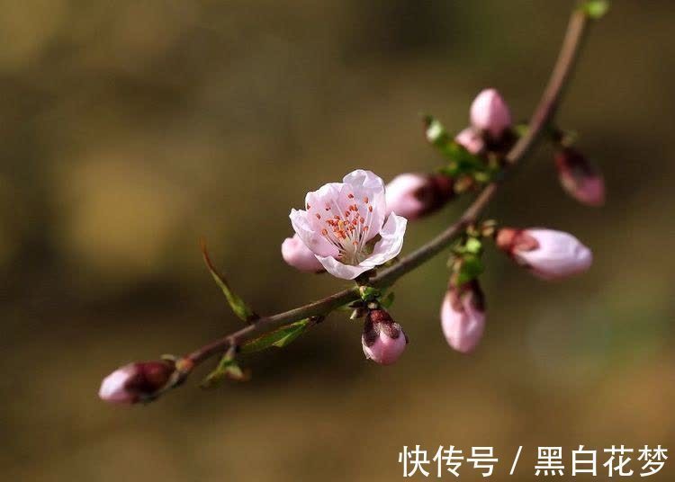 巨蟹座|未来两个月正财横财两旺，贵人出面帮助，赚大钱，发大财的3星座