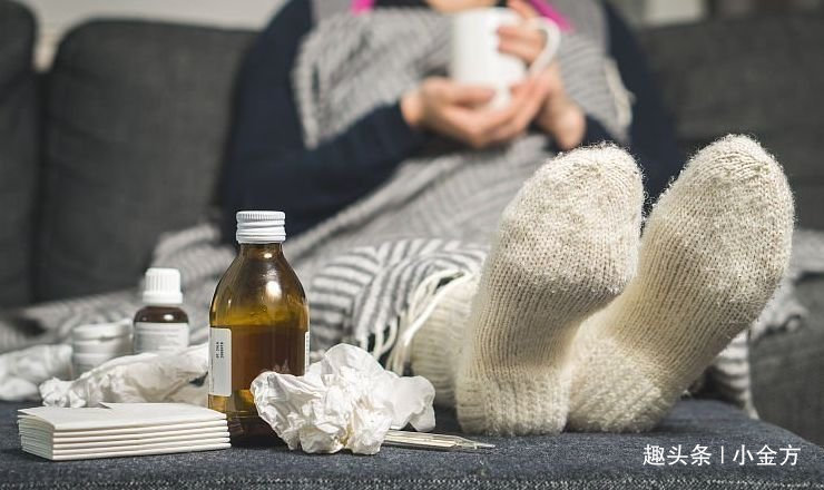 黄芪|“免疫力差,爱生病”中医怎么调理3味药的食疗方,可以改善!