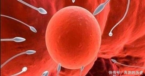 小宝宝|“受精卵着床时”的5个奇妙感觉,粗心的宝妈你有体会到了吗