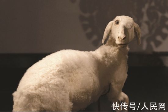 邬建安|惠灵顿中国文化中心云端解读线上展览《山海新经·饕餮》