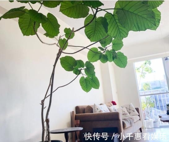 日常生活中|日本太太的家居分享,用心收纳,每个日常都能整理出诗意