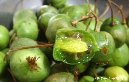 东北农村的这个小野果，要想摘到它得费一番功夫，真是解馋又养生