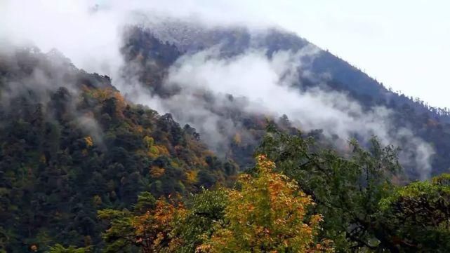 这是令人心驰神往的高黎贡山