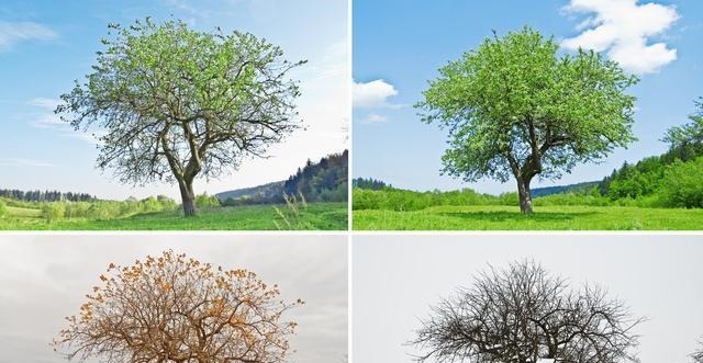 卦象#我们为什么不能理解《易经》!