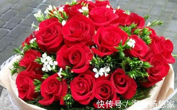 大家见过“卡罗拉玫瑰”吗，色调纯正，鲜艳照人，观赏性价值极高