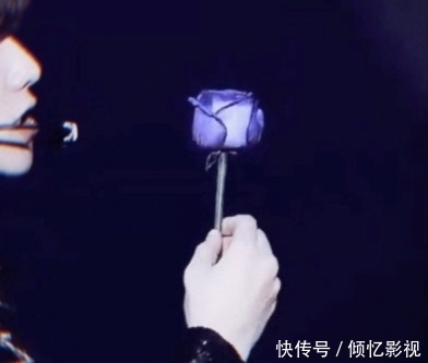 策划|抖音短视频拍摄策划代运营红利热潮期时机不能等