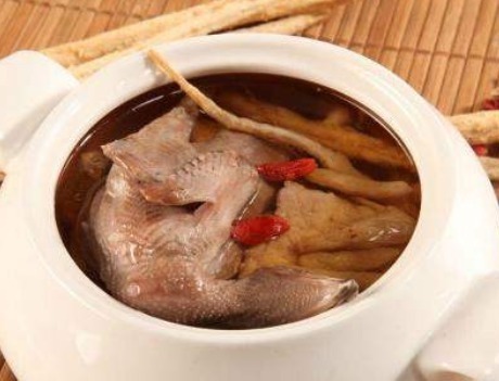营养|一鸽胜九鸡,鸽子汤怎样炖才滋补好喝?学会1招,汤鲜味美营养高