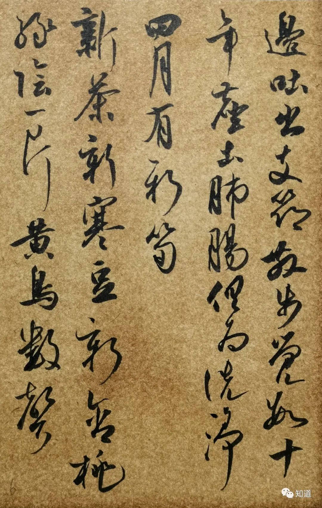 捷径#学书法,不临帖想走捷径,反映了人的劣根性