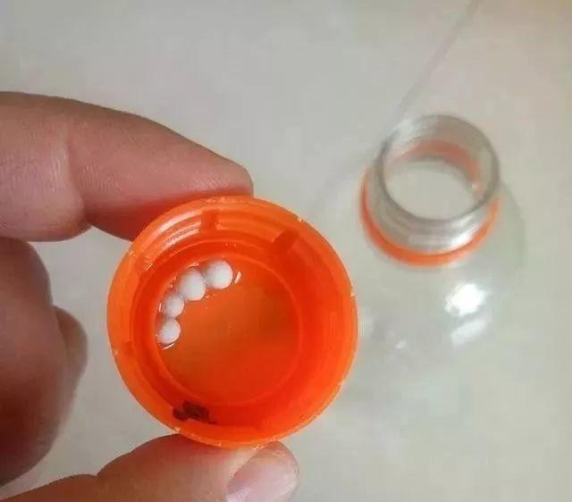 养吊兰,只需3招,嗖嗖冒出“新枝条”,20天后还“开花”