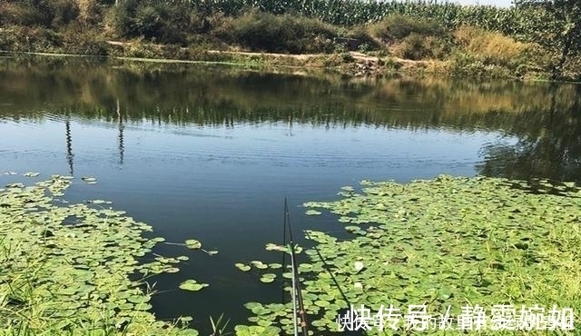 新手钓友牢记钓鱼7忌，虽然不能助你多钓鱼，但也能不让你放炮
