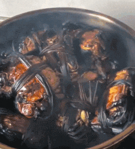 |搞笑GIF:长点心吧 对面住的可都是单身汉啊