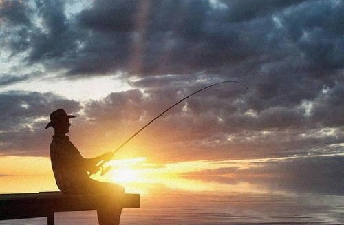 亚洲|亚洲鲤鱼泛滥全世界,在美国胖成100斤,中国吃货:成精了吧