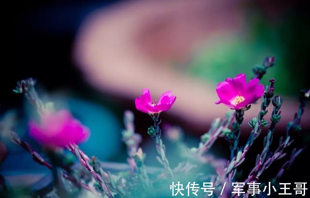 黄庭坚#云水禅心,人生至美