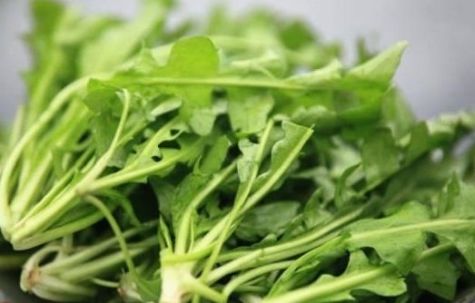 這些野菜你都吃過嗎？