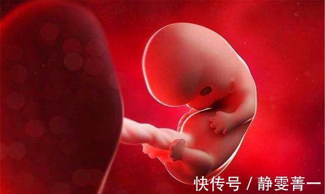 高发期|胎儿畸形这几周是危险期,只要熬过去,孕妈就可松口气了
