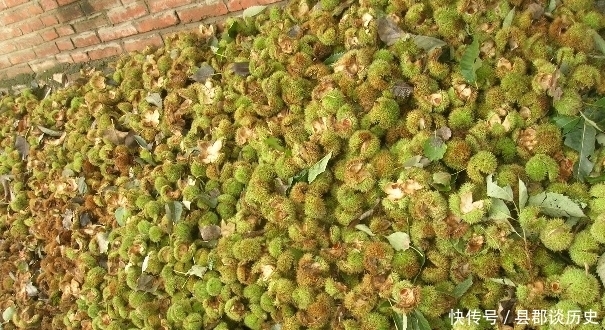 糖稀|它是“干果之王”,维C含量是苹果的10倍,冬天炒着吃太香了!