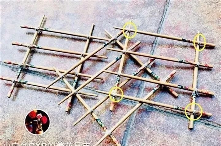 塑料瓶|旧筷子、老干妈瓶别扔,拿来养花效果好,省下一笔养花钱