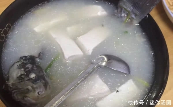 几物|湿气过重易肥胖,常吃这几物,助你祛湿排毒,减掉赘肉一身轻