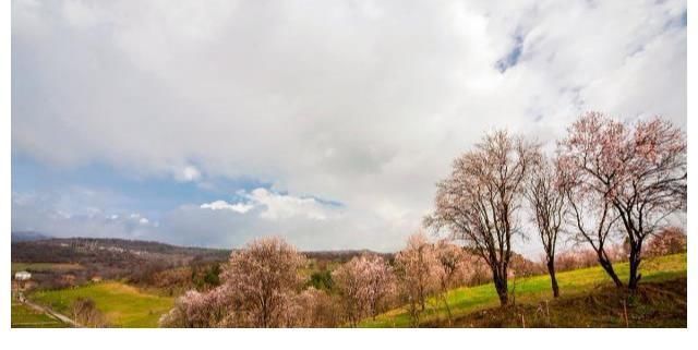 在你身边&厚黑学:如果你不懂什么是人情世故,建议读读这篇文章,醍醐灌顶