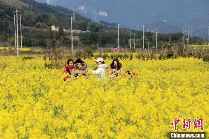 民众|广西山区万亩油菜花盛开迎客来