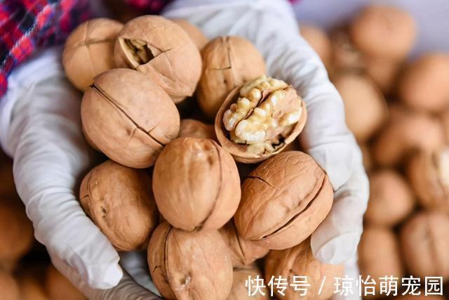 核桃|最佳补脑食物名单,别只知道吃核桃,这3种食物是天然“脑黄金”