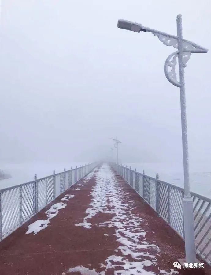 青海|快看，青海的雾凇奇景！