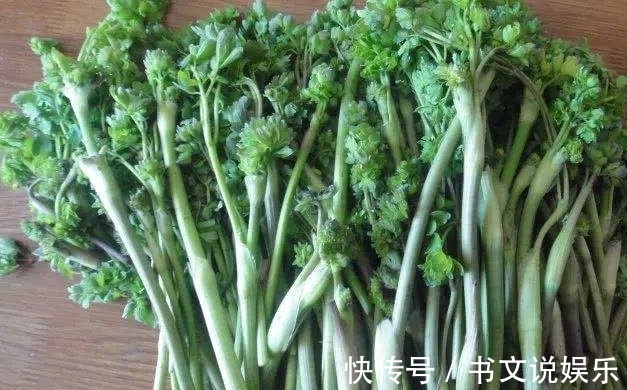 马芹|农村一种野菜,可以治头痛,可是为什么知道的人不多