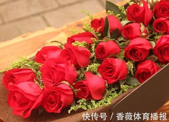 喜欢玫瑰,不妨养“玫瑰精品”卡罗拉,雍容华贵,寓意炽热的爱情