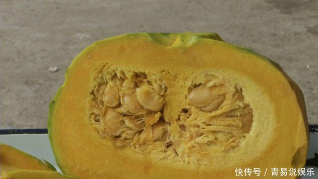 个小皮青味道好,据说这个南瓜还能吃出板栗味