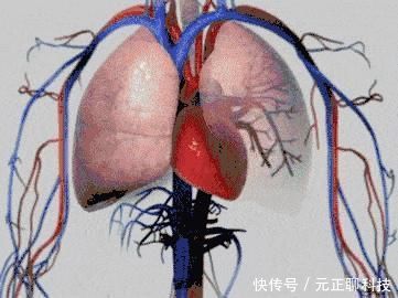 两个救命穴，一招点压能救命，人人都应该知道