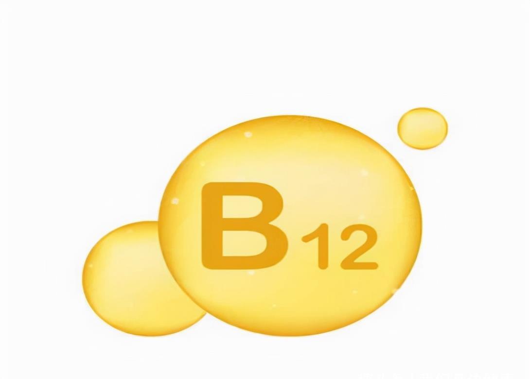 服药|谷维素和维生素B12如何吃?今天详细解答,不妨来了解一下