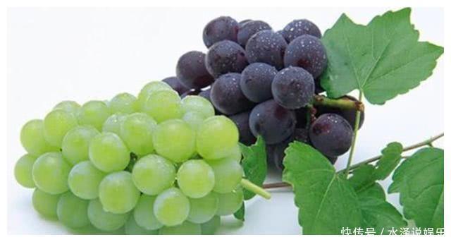 维生素c|夏天来了,多吃三种水果,增加抵抗力,延缓衰老,早吃早好