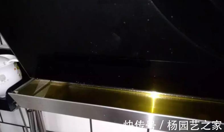 果皮|油渣能拿来养花吗?这么一处理,君子兰、月季都爱吃