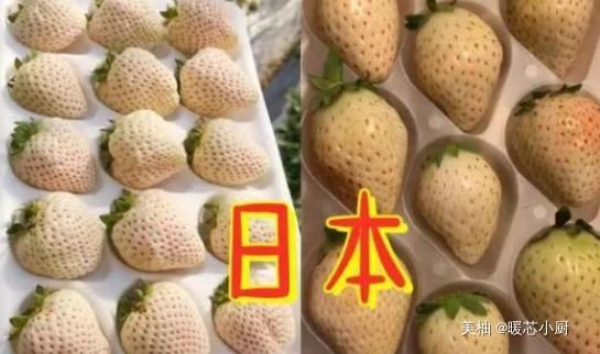 吃起来就|各国吃货炫富,日本有白草莓,迪拜有西瓜,中国人默默拿出“它”